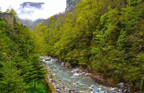 Maison La Douane - Comprends nettoyage professionnel et le linge - Foto 65