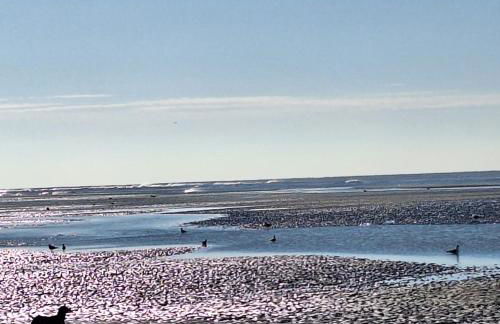 LES VAGUES, terrasse rez-de-ch, parking gratuit, lits faits, animal bienvenu et tout à pied - Foto 20