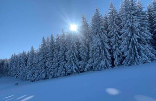 Drewniany dom w brzozowisku - Foto 73