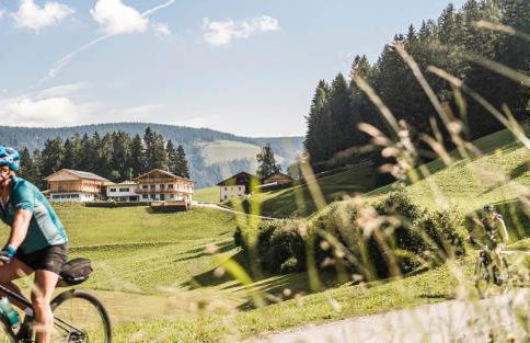 Biohof Untergröber - Foto 70