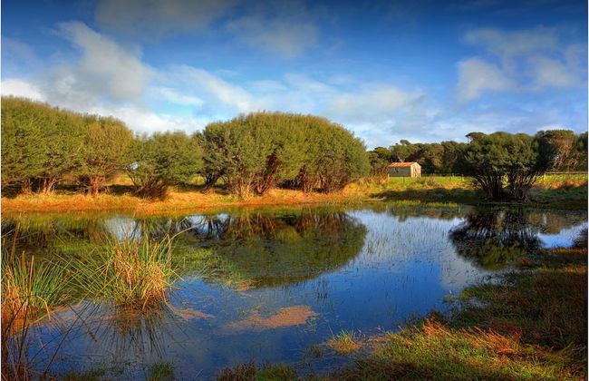 King Island Accommodation Cottages - Photo 43