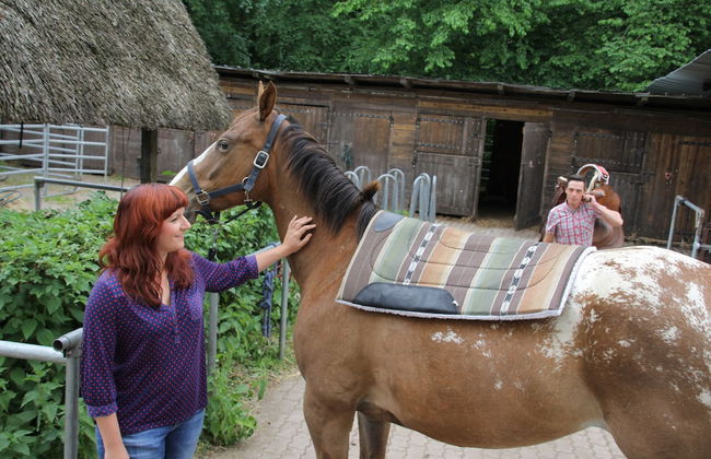 Wegekaten - Ferienwohnungen unter Reet - Foto 24