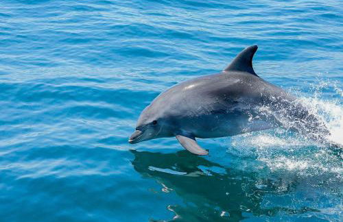 Luxury Holiday Villa Pescadinha near Beach, Albufeira - Foto 29