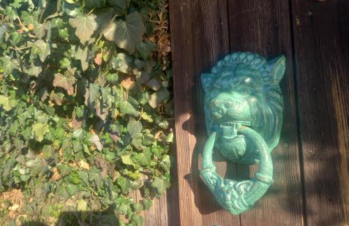 Owocowa Chojnata - Foto 45