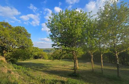 Luxury Welsh wooden cabin - Foto 68
