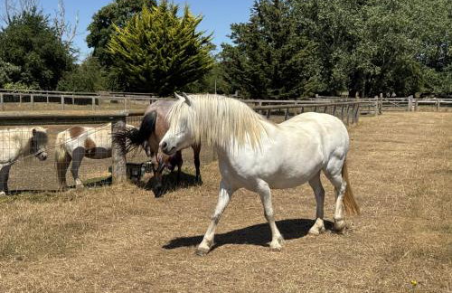 Cosy Cotswolds Cottage Farm Stay - Shepherds Rest - Photo 57