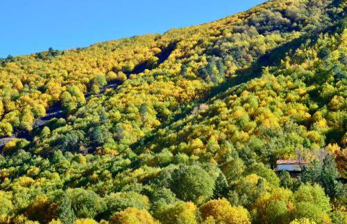 Solar da Castanha - Forest House - Foto 46