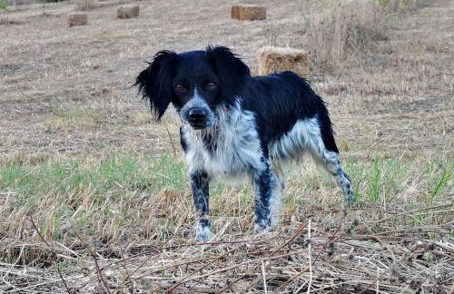 Agriturismo Grecinella - Foto 18