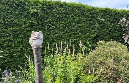 Frisch Saniert Ferienhaus Achterland - Strand, Sauna, Kamin, WLAN und ein großer Garten - Foto 22