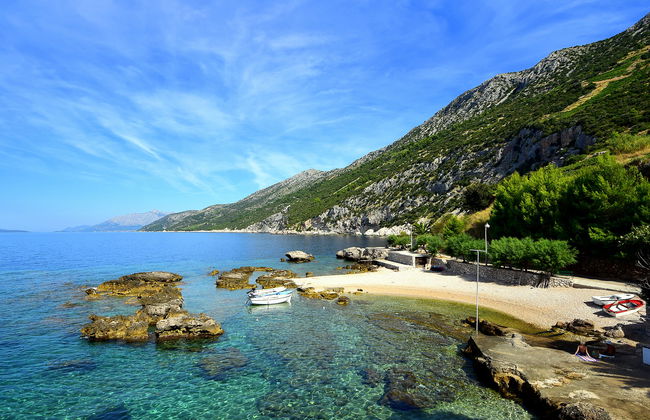 Plavac Mali - Foto 29