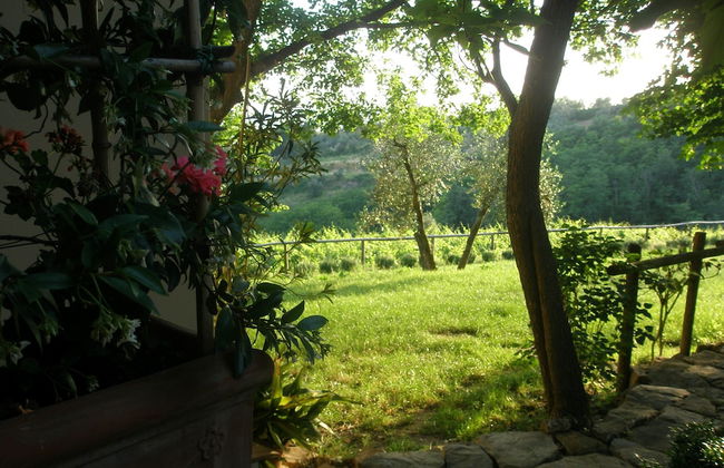 Agriturismo Poggiopiano - Photo 26