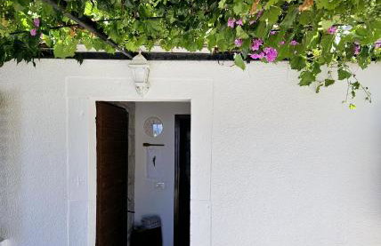 Small House Postup - Photo 30