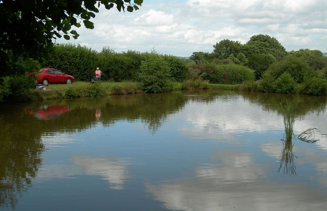 Newcourt Barton - Foto 28