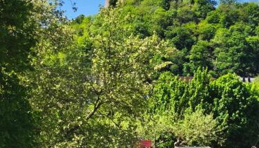 Sonniges Apartment am Kurpark mit direktem Blick auf die Ebernburg - Foto 3