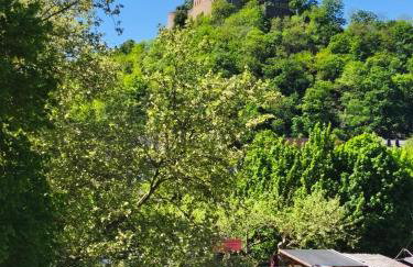 Sonniges Apartment am Kurpark mit direktem Blick auf die Ebernburg - Foto 3