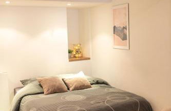 CONFORTABLE 2 PIÈCES AU CŒUR DU CENTRE HISTORIQUE - Foto 5