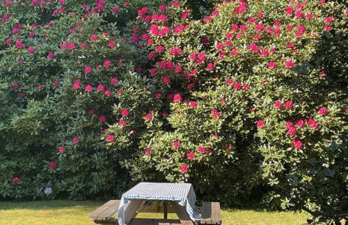 Ferienwohnung Idyll - Alleinlage - Foto 18