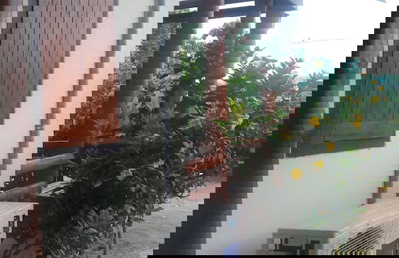 Ramidahost2 - Photo 19