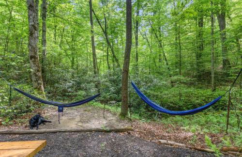 Beech Timber- 30 Acre Secluded Glamping in RRG - Foto 12