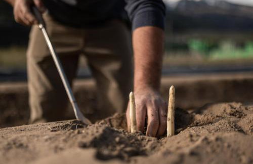 Weingut Köfelgut - Turris Vini - Foto 25