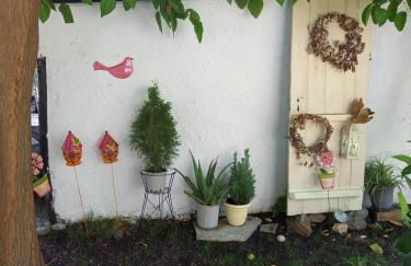 La Casa Di Elena - Foto 66