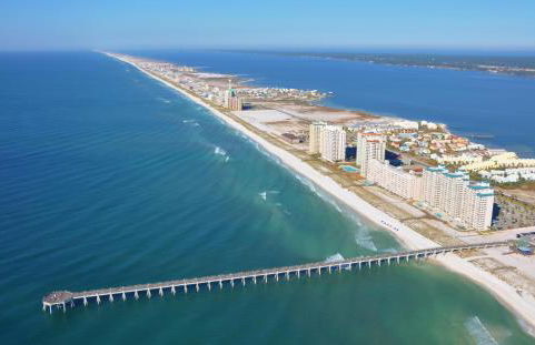 Silver Dolphin - Foto 32