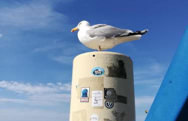 Eschen´s Blick - Foto 55