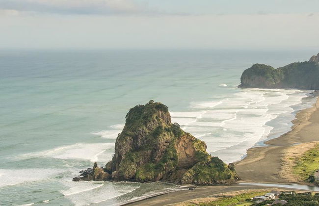 Vida salvaje en Auckland - Foto 1