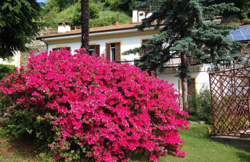 Villa Ombrosa - Foto 22