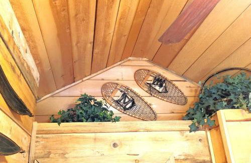 Sequoia Splendor, inside Kings Canyon NP by Visitors Center - Foto 49