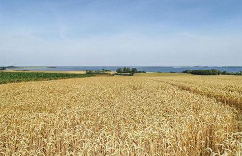 Stunning Home In Boiensdorf With Sauna - Foto 26