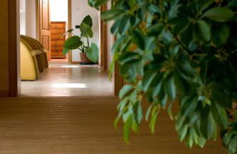 Agriturismo Al Casale - Foto 51