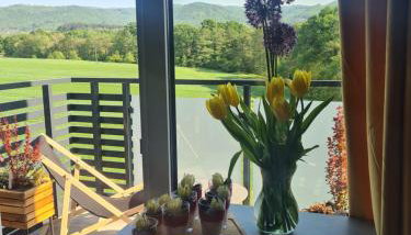 Złota Widokówka - Foto 3