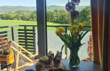 Złota Widokówka - Foto 3