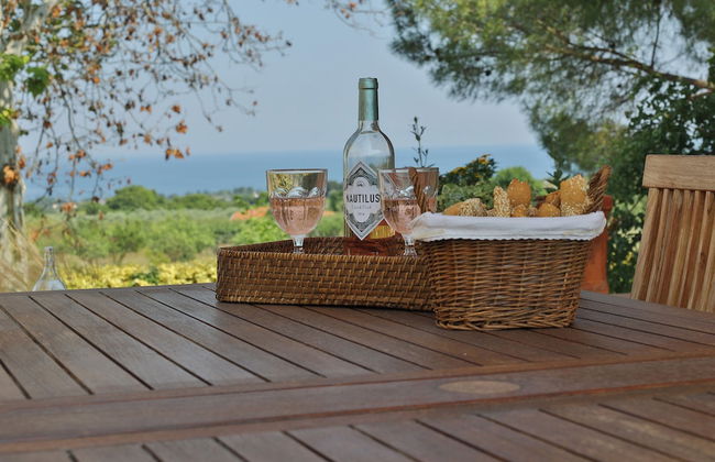 Olives and Vines all Season Villa - Photo 23