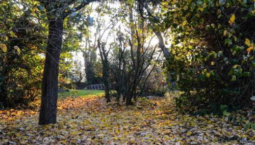La Tireliere, longère bord de mer avec jardin - Foto 4, Garden