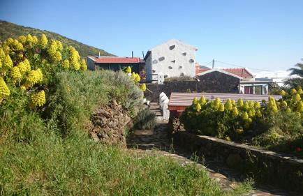 Casa Tia Estebana - Foto 10