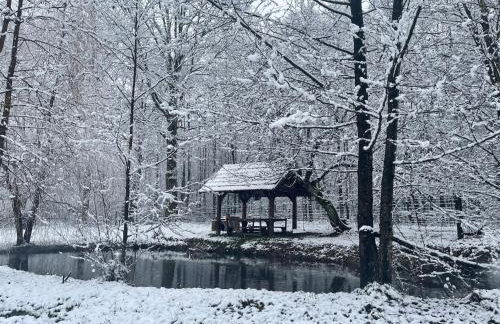 Ranch Falcone - Foto 42