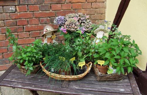 Hainich-Ferienhof - Foto 52