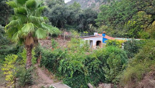 Trocito de Paraíso en la Sierra Espadán - Foto 5