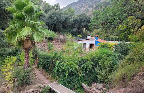 Trocito de Paraíso en la Sierra Espadán - Foto 5