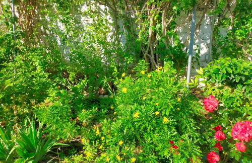 Precioso chalet próximo a Sevilla con jardín y piscina privada 8 personas Wifi gratis 2 salones 4 dormitorios 2 baños - Foto 24