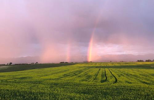New Cabin with Spectacular Views of Flathead Lake. - Foto 31