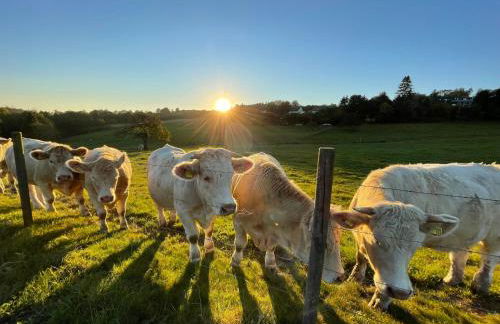 Landhof PAU - Foto 22