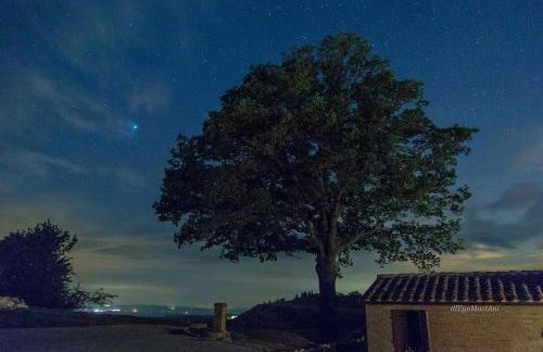 Agriturismo Mocine - Foto 21