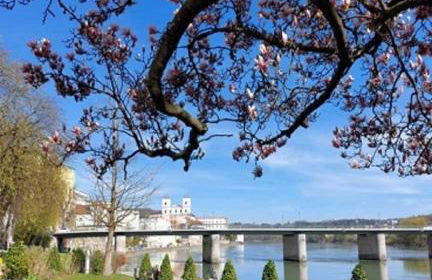 Traumblick Bayerischer Wald, Pool & Sauna, Getränke, Klimaanlage - Foto 46
