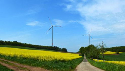 Ferienwohnung Seestern - Foto 4