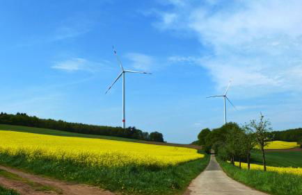 Ferienwohnung Seestern - Foto 4