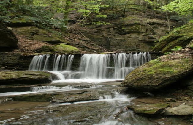 Agriturismo Poggio di Montepescoli - Il Forno - Foto 34