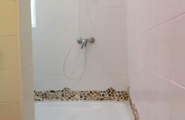 Ave Ibis eremita Vejer - Foto 24